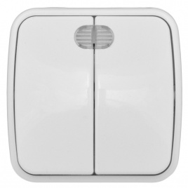 "Минск" Выключатель 2-клавишный ОП с индикатором 10А белый EKF