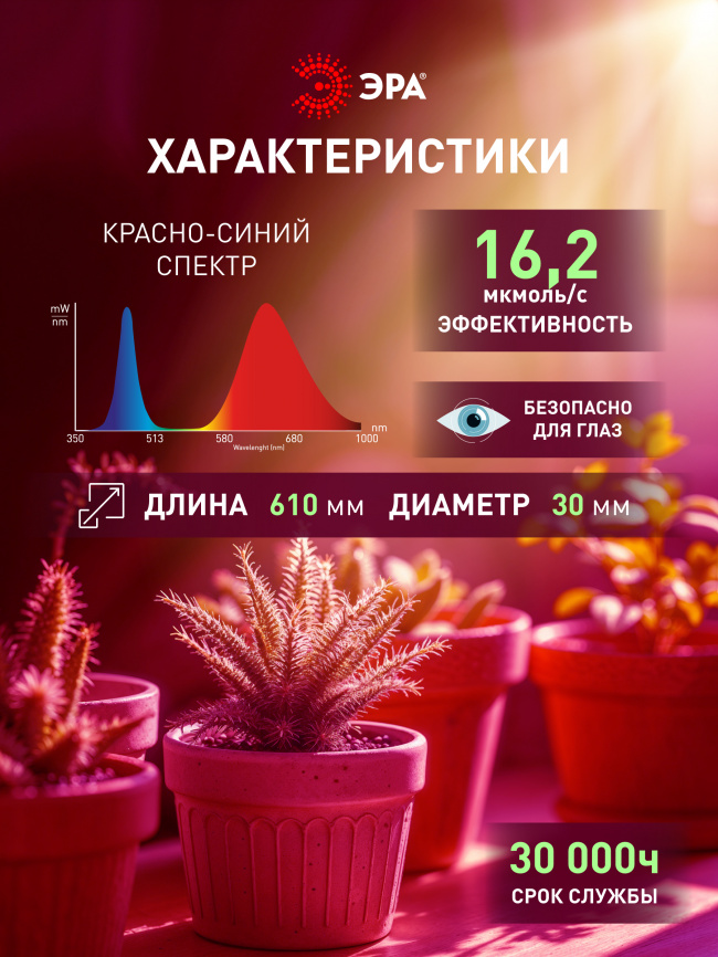 Лампа светодиодная ЭРА RED LINE LED P45-8W-827-E14 R 8Вт шар теплый белый свет E14 фото 1