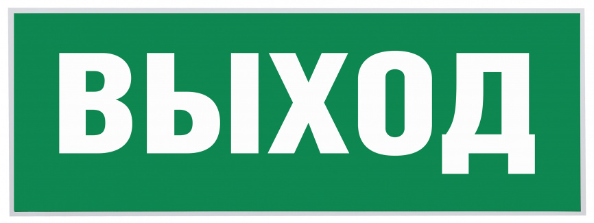 Самоклеящаяся этикетка ЭРА INFO-SSA-111 330х120мм  Выход-EXIT  SSA-101/DPA-301 фото 1