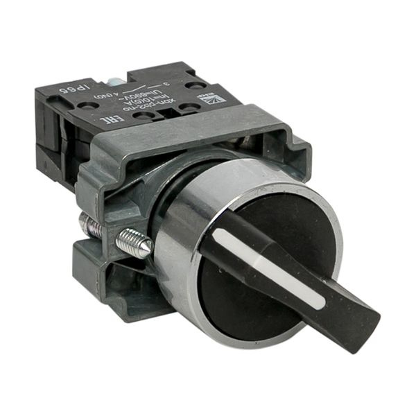 Переключатель BD21 2P короткая ручка NO IP65 EKF фото 1