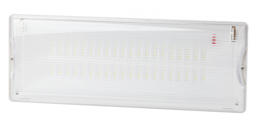 Аварийный светильник светодиодный ЭРА DPA-301-0-65 непостоянный 40LED 3ч IP65 фото 1