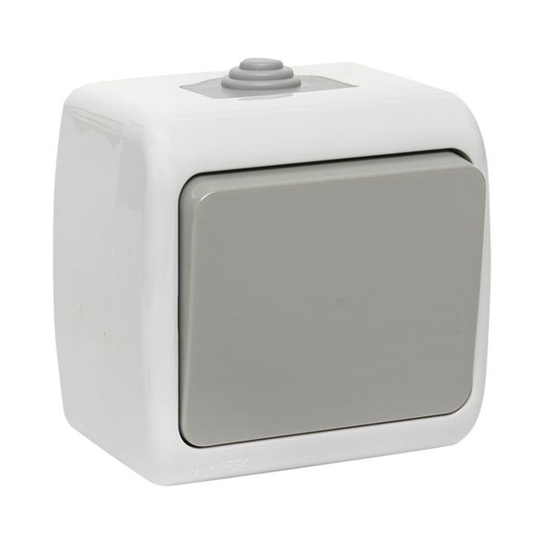 Выключатель 1-клавишный 10А IP54 о/у серый Мурманск EKF фото 1