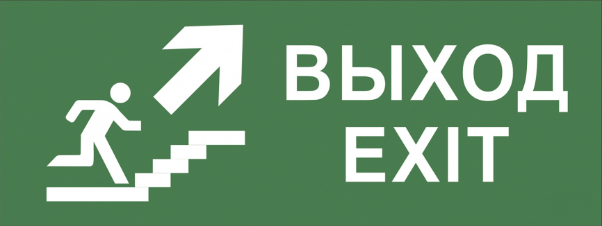 Самоклеящаяся этикетка ЭРА INFO-SSA-110 330х120мм  Выход/лестница вверх/фигура  SSA-101/DPA-301 фото 1