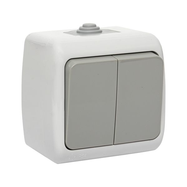 Выключатель 2-клавишный 10А IP54 о/у серый Мурманск EKF фото 1