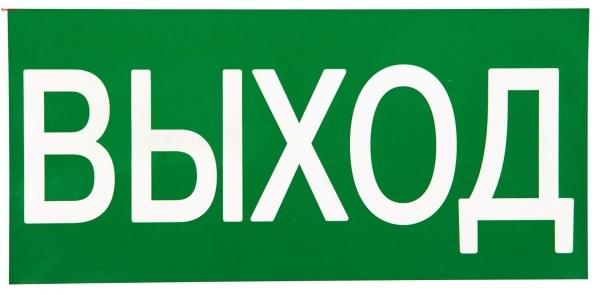 Знак "ВЫХОД" 150х300мм EKF фото 1