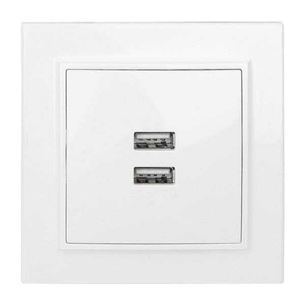 "Минск" Розетка USB 2-местная СП 2,1А  белая  EKF фото 1